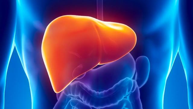 Penyebab Penyakit Liver dan Cara Mencegahnya