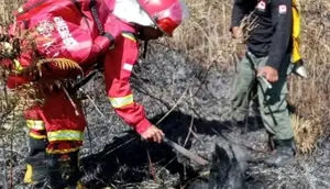 1,6 Hektare Vegetasi Rinjani Terbakar