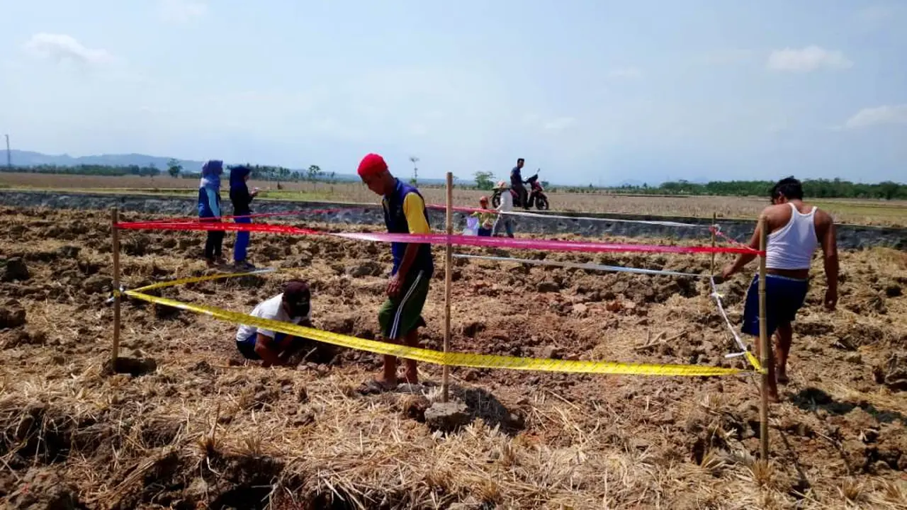 Warga memasang garis pengaman di situs batu bata raksasa kuno di Kalikudi, Adipala, Cilacap, Jawa Tengah. (Foto: Liputan6.com/Nakam SW/Muhamad Ridlo)