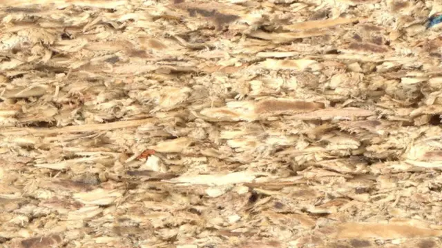 Particle Board: Wikipedia