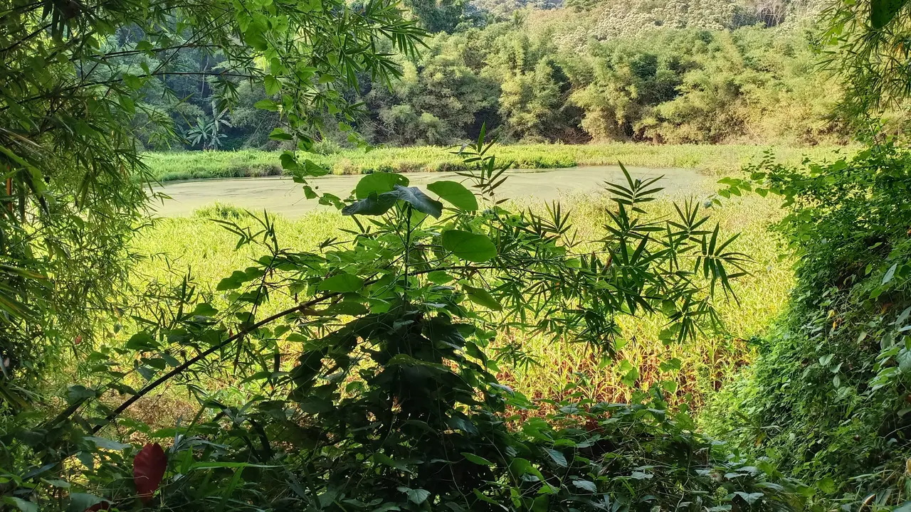 Danau Koliheret Sikka NTT