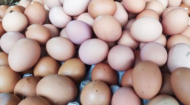 Sejumlah peternak ayam petelur di Kota Tasikmalaya, Jawa Barat, meminta pemerintah segera turun tangan memberikan solusi, di tengah anjloknya harga telur saat ini.