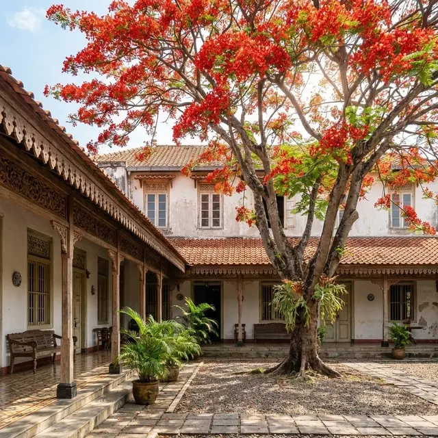 onsep Courtyard Klasik dengan Pohon Flamboyan