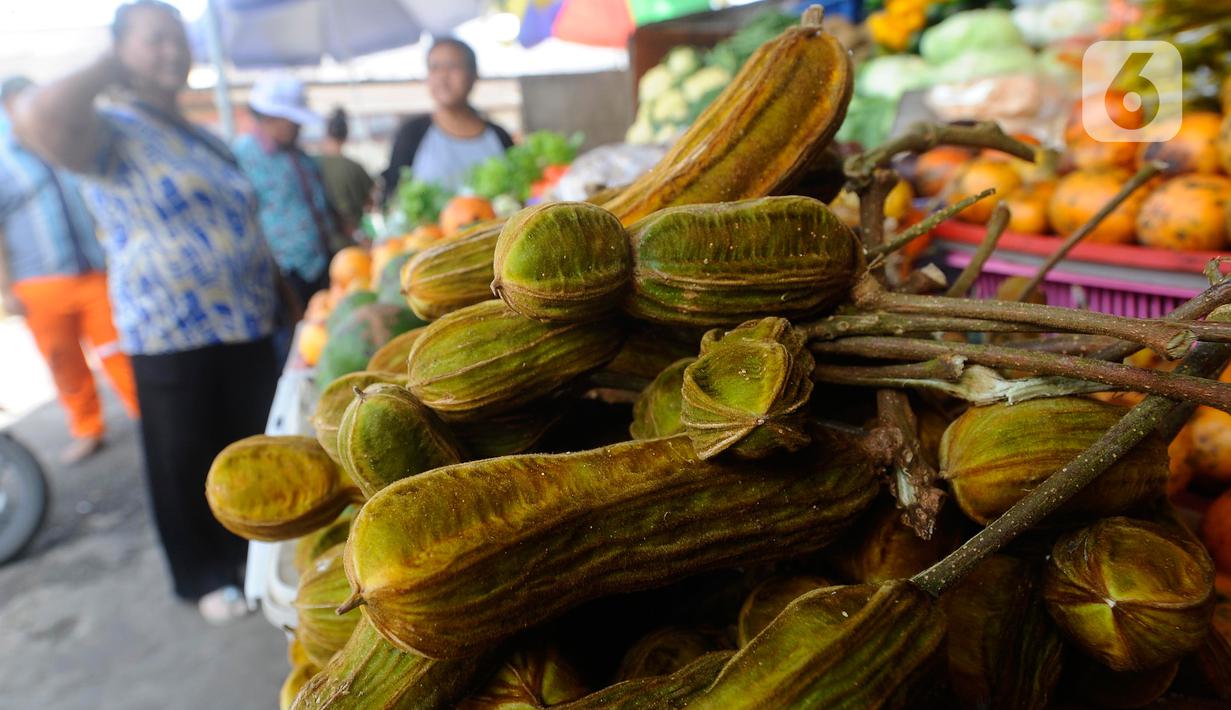 Pohon buah salju bisa tumbuh mencapai 30 meter dan dapat tumbuh di daerah tropis maupun daerah yang lebih dingin. Buahnya memiliki kulit berwarna hijau dan bagian dagingnya putih seperti salju.(merdeka.com/Arie Basuki)