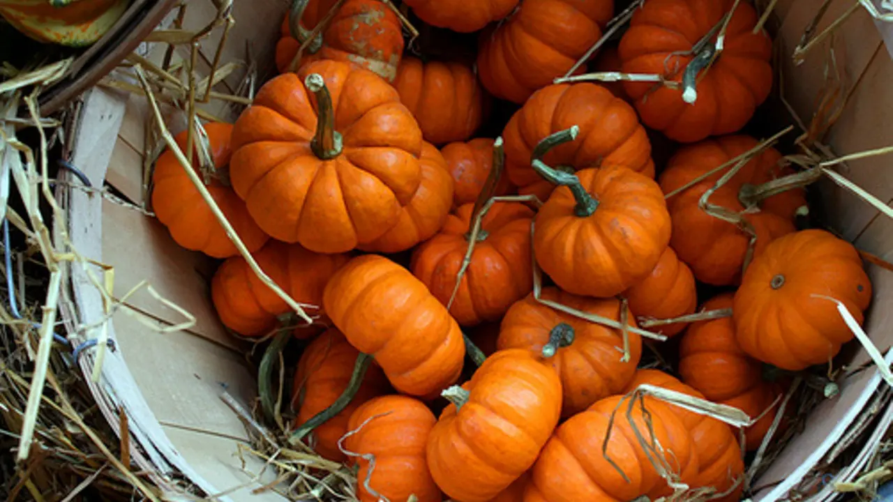 4 Makanan yang Rasanya Jauh Lebih Enak Ketika Bulan Oktober