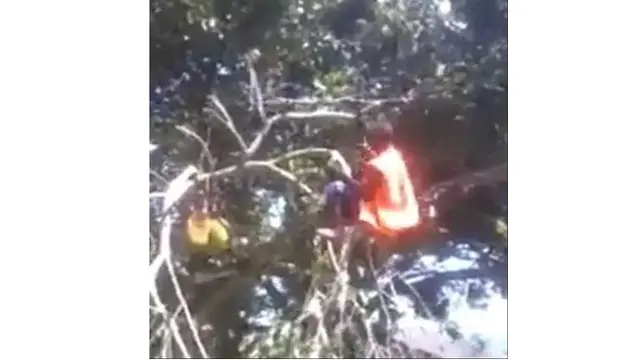 6 Potret Aksi Berani Penebang Pohon Bekerja Tanpa Pengaman, Nekat Banget