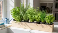 Cara Bikin Kebun Bumbu 1 Meter, Rahasia Dapur Segar & Rempah Melimpah Setiap Saat