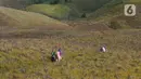 Pemilik kuda mengantarkan pengunjung berkuda di kawasan wisata Gunung Bromo, Probolinggo, Jawa Timur, Jumat (10/9/2021). Balai Besar Taman Nasional Bromo Tengger Semeru (BB-TNBTS) mulai membuka pintu masuk kawasan wisata Bromo melalui Kabupaten Probolinggo. (merdeka.com/Arie Basuki)