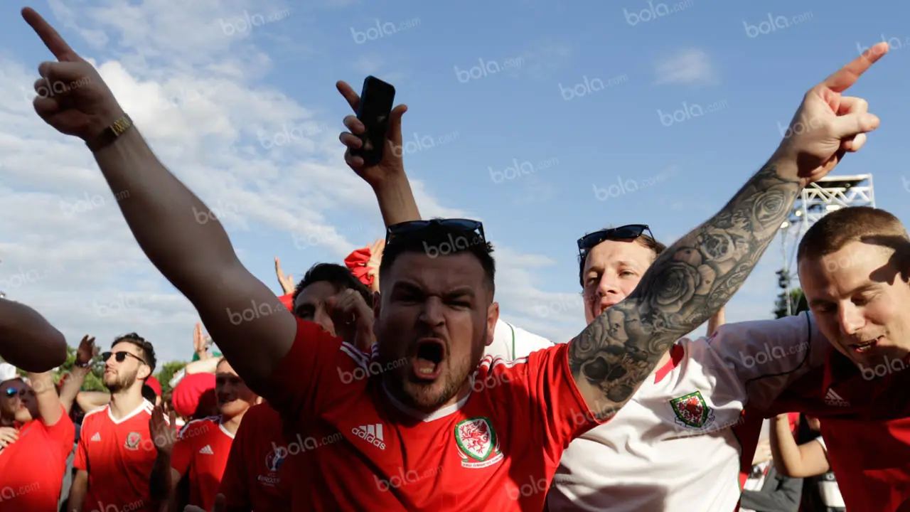 Suporter Wales