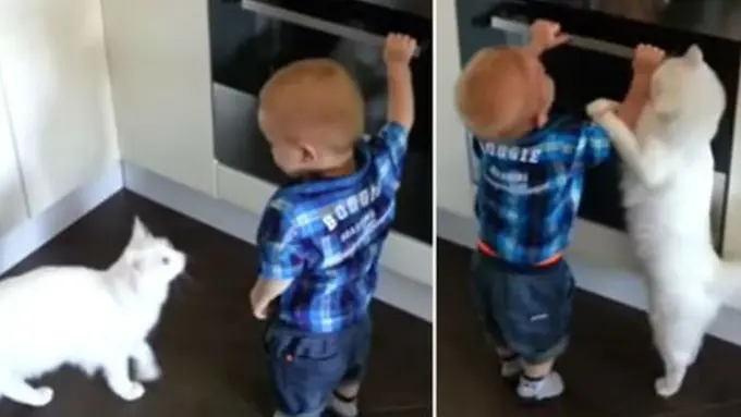 foto: copyright mirror.co.uk