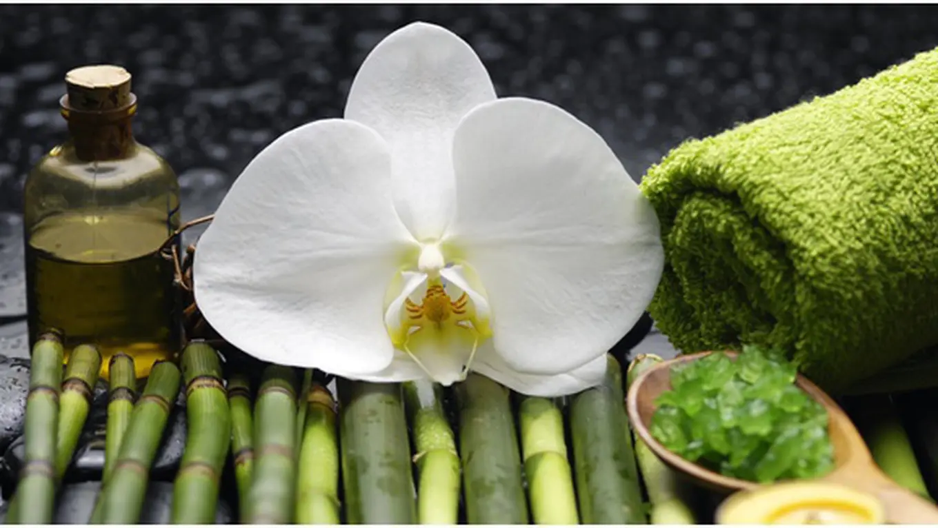 Hilangkan Penat Dengan Tradisional Bambu Massage di Bambu Spa