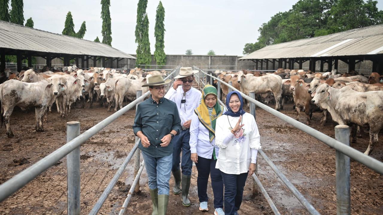 Calon presiden (capres) nomor urut satu Anies Baswedan