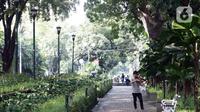 Seorang pria bermain biola di ruang terbuka hijau Taman Suropati, Jakarta, Sabtu (23/10/2021). Selama berada di ruang terbuka hijau, pengunjung diwajibkan mematuhi protokol kesehatan, seperti mencuci tangan, mengenakan masker dan menghindari kerumunan. (Liputan6.com/Helmi Fithriansyah)