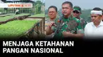 Berbagai cara dilakukan untuk mewujudkan ketahanan pangan nasional. Salah satunya dengan menciptakan kawasan pertanian terpadu atau agroforestry seperti yang ada di Gunung Hejo, Purwakarta.