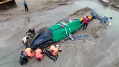 Anggota Prefektur Angkatan Laut Argentina dan para sukarelawan berusaha menyelamatkan seekor paus bungkuk yang terdampar di Mar del Plata, Argentina (9/4). (AP / Pablo Hugo Funes)