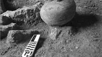 Bukti-bukti arkeologis keberadaan perkemahan Romawi Kuno ditemukan di Israel (Credit: Dr Yotam Tepper)