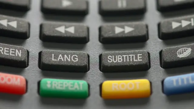 Subtitle