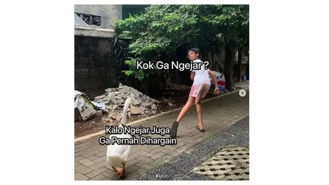 6 Meme Pakai Gambar Hewan Ini Kocak, Bikin Tepuk Jidat