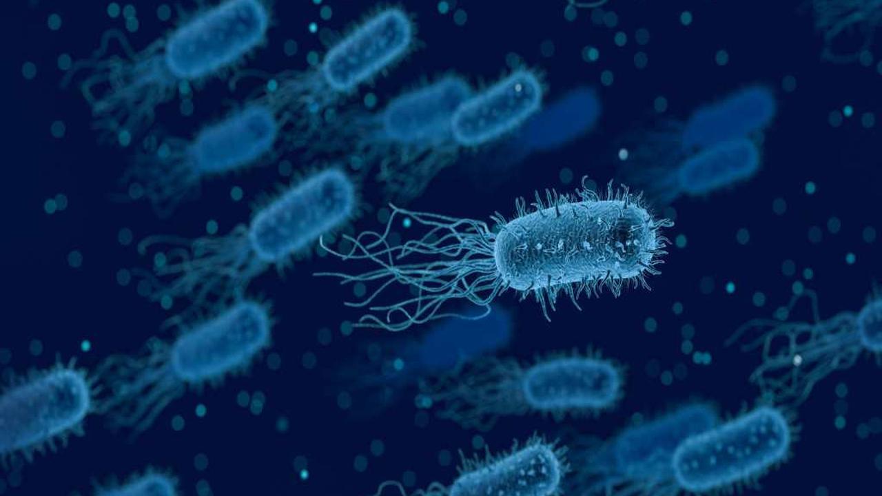 10 Bakteri yang Terdapat Pada Uang, Harus Diwaspadai