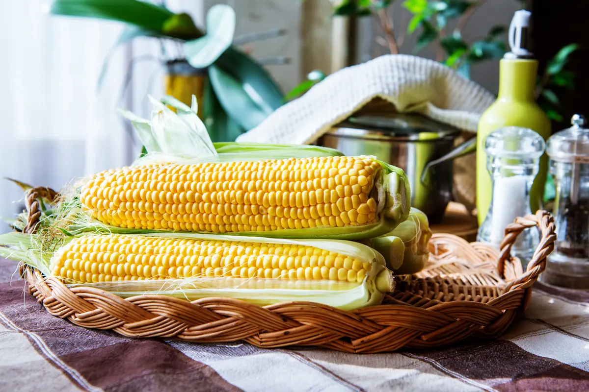 jagung muda