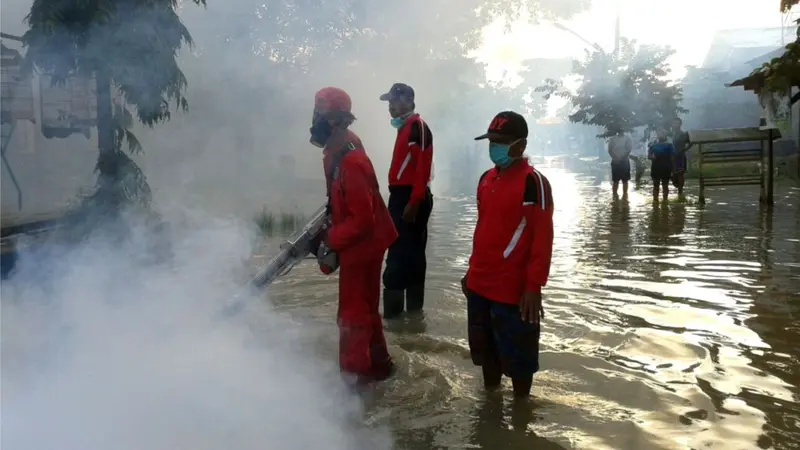 Petugas melakukan fogging untuk menekan wabah Demam Berdarah Dengue (DBD) usai banjir. (Foto: Liputan6.com/Muhamad Ridlo)