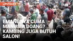 Unik! Salon Kambing Dibuka Jelang Idul Adha