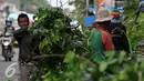 Petugas Dinas Pertamanan Jakarta Timur merapihkan pohon tua beresiko tumbang di kawasan Jatinegara, Jaktim, Selasa (5/1/2016). Antisipasi pohon tumbang di musim penghujan, Dinas Pertamanan pangkas pohon beresiko tumbang. (Liputan6.com/Yoppy Renato)