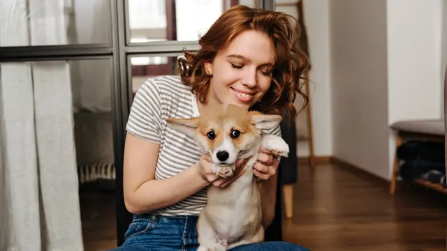 Dog Owner