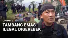 Polisi menggerebek tambang emas ilegal di kawasan hutan Tapanuli Selatan, Sumatra Utara. Sebanyak tujuh pelaku dan 12 unit ekskavator disita petugas di area penambangan yang berpotensi merusak lingkungan.