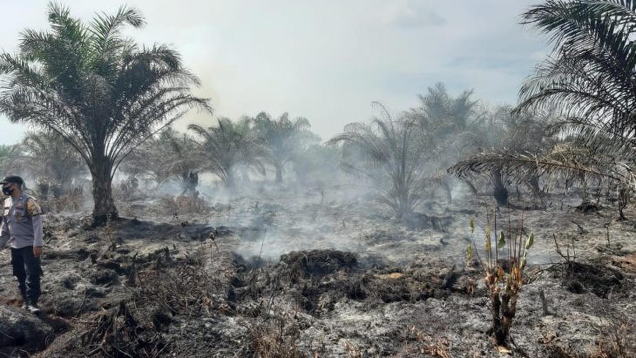 Kebakaran lahan di Kabupaten Agam, Sabtu (13/2/2021). (Dok BPBD Agam)
