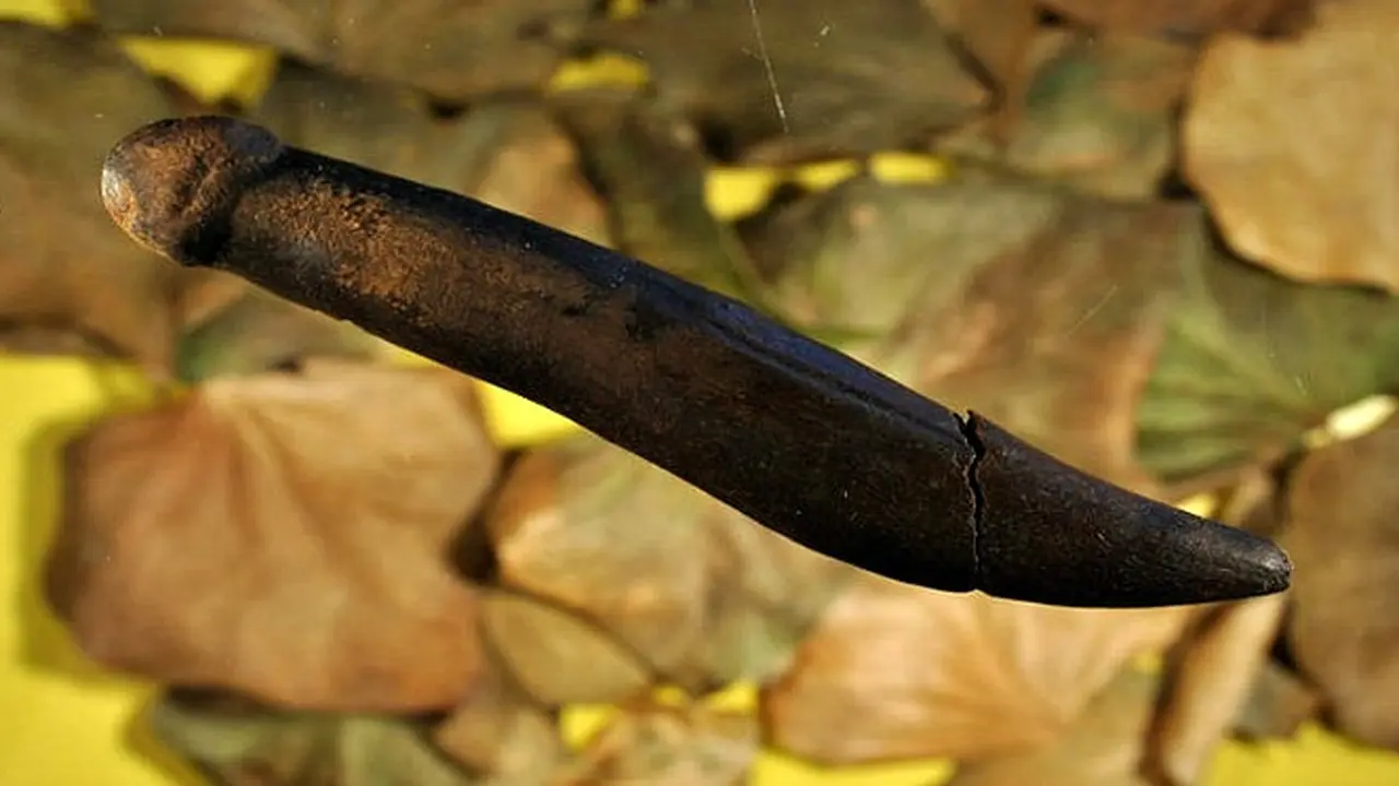 Dildo