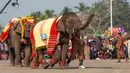 Kawanan gajah menyuguhkan tarian di Festival Gajah 2020 yang digelar di Provinsi Xayaboury, Laos utara, pada 22 Februari 2020. Festival tahunan yang kali ini berlangsung dari 22 Februari hingga 28 Februari tersebut telah diadakan sejak 2007 di Provinsi Xayaboury. (Xinhua/Kaikeo Saiyasane)