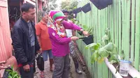 Lahan yang sempit tidak menghentikan warga untuk bisa memanen sayuran hijau di rumah. (Liputan6.com/Eka Hakim)