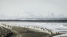 Para pebalap mootokros sedang beraksi dalam balap motokros Red Bull Knock Out di Pantai Hague, Belanda, (28/11/2015). (AFP Photo/ANP/Remko de Wall)
