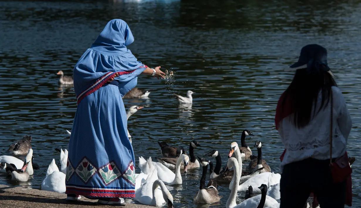 Seorang wanita memberi makan angsa saat suhu musim panas mencapai sekitar 28 derajat di Hyde Park di London, Inggris (5/7). (AFP Photo/Chris J Ratcliffe)