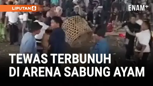 VIDEO: Tragis! Salah Paham di Arena Sabung Ayam Berujung Pembantaian Berdarah di Bangli, Bali