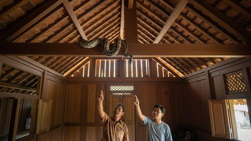 Tips Mencegah Ular Masuk ke Atap Rumah atau Plafon Tanpa Harus Bongkar Bangunan/ Ilustrasi AI