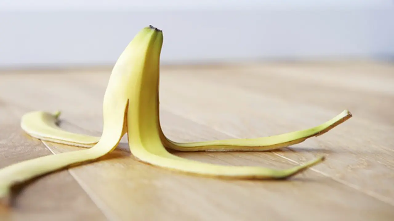 Foto: copyright thinkstockphotos.com