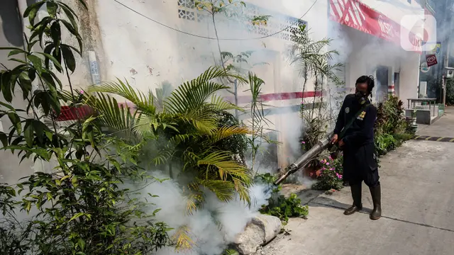 Fogging Cegah Demam Berdarah