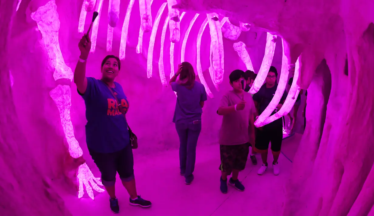 Pengunjung menikmati objek wisata Meow Wolf di sebuah tempat bekas arena bowling tua di Santa Fe, New Mexico (31/7). Objek wisata dan pameran instalasi ini terinspirasi dari film serial  Dr Who TARDIS. (AFP Photo/Mark Ralston)