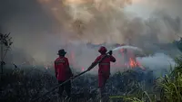 Kebakaran hutan dan lahan (karhutla) kembali meluas di Sumatera Selatan (Sumsel). (AL ZULKIFLI/AFP)