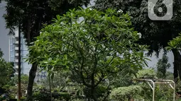 Petugas membersihkan makam yang ada di TPU Karet Bivak, Jakarta, Kamis (4/3/2021). Komisi D DPRD DKI Jakarta meminta kepada Pemprov DKI Jakarta khusunya Dinas Pertamanan dan Hutan Kota untuk menyederhanakan proses izin perpanjangan sewa makam di Jakarta. (Liputan6.com/Faizal Fanani)