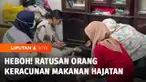 Ada lebih dari 100 orang seketika mengalami gejala keracunan dan harus mendapatkan perawatan medis di Sleman, Yogyakarta. Diduga warga keracunan makanan sebuah hajatan pernikahan.