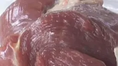 liputan6