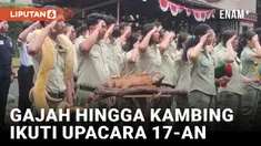 Upacara HUT ke-78 RI di Bali Safari Hadirkan Gajah hingga Kambing