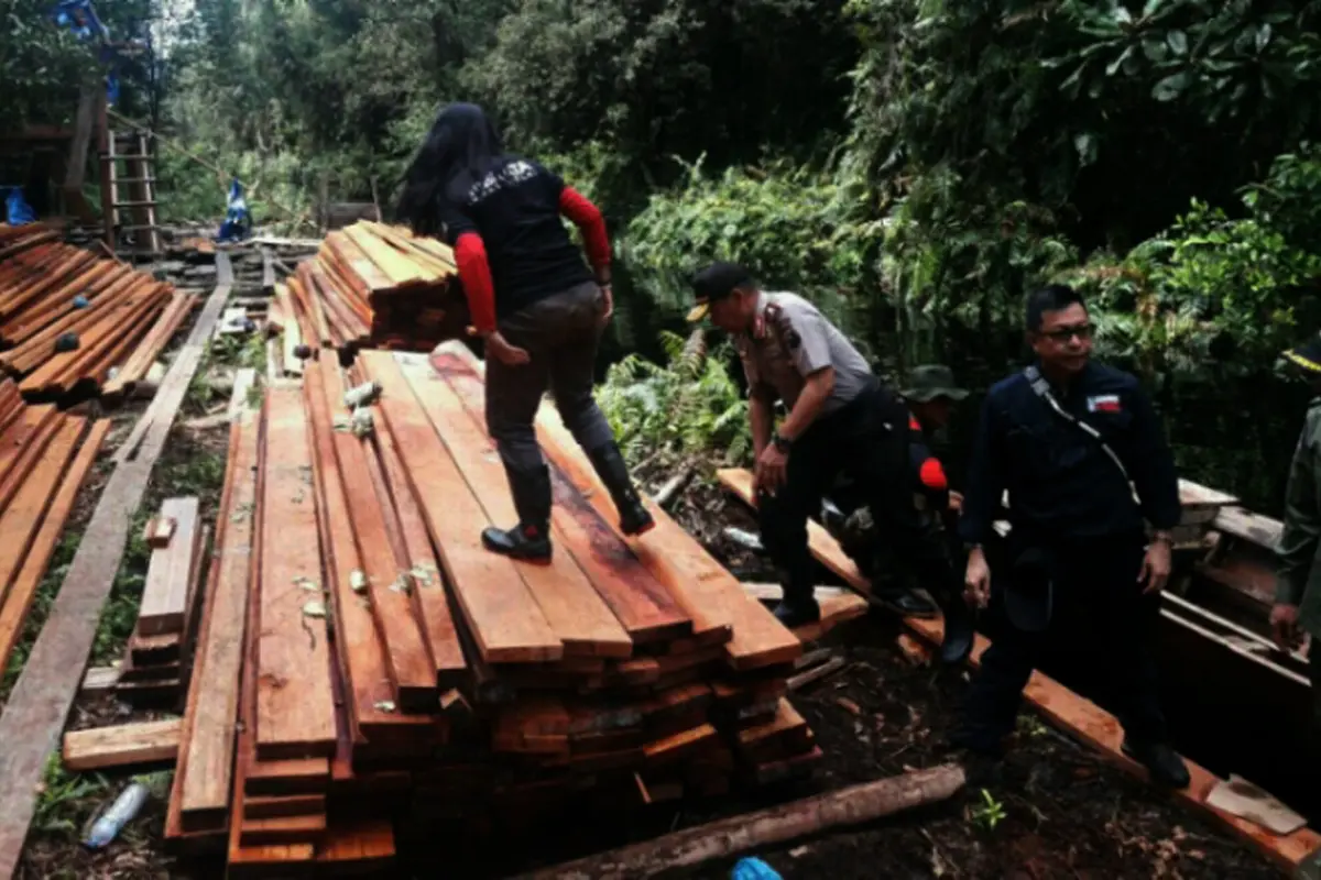 Illegal Logging