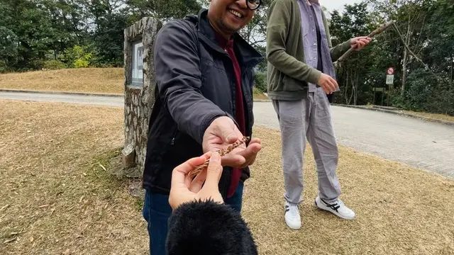 Menemukan Kedamaian dalam Forest Bathing di Tai Mo Shan Country Park, Hong Kong