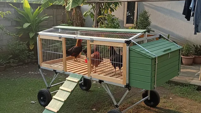 9 Ide Kandang Ayam Portable Roda Dorong Anti Becek, Solusi Peternak Modern
