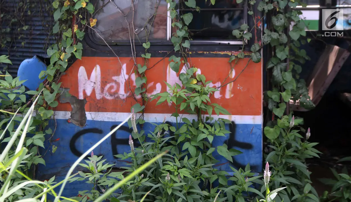 Tanaman menutupi bangkai bus Metromini di Pool Bus Dishub DKI Jakarta, Jumat (23/3). Bus Metromini yang rusak dan tak layak mulai digantikan oleh angkutan umum Minitrans dan Metrotrans. (Liputan6.com/Arya Manggala)
