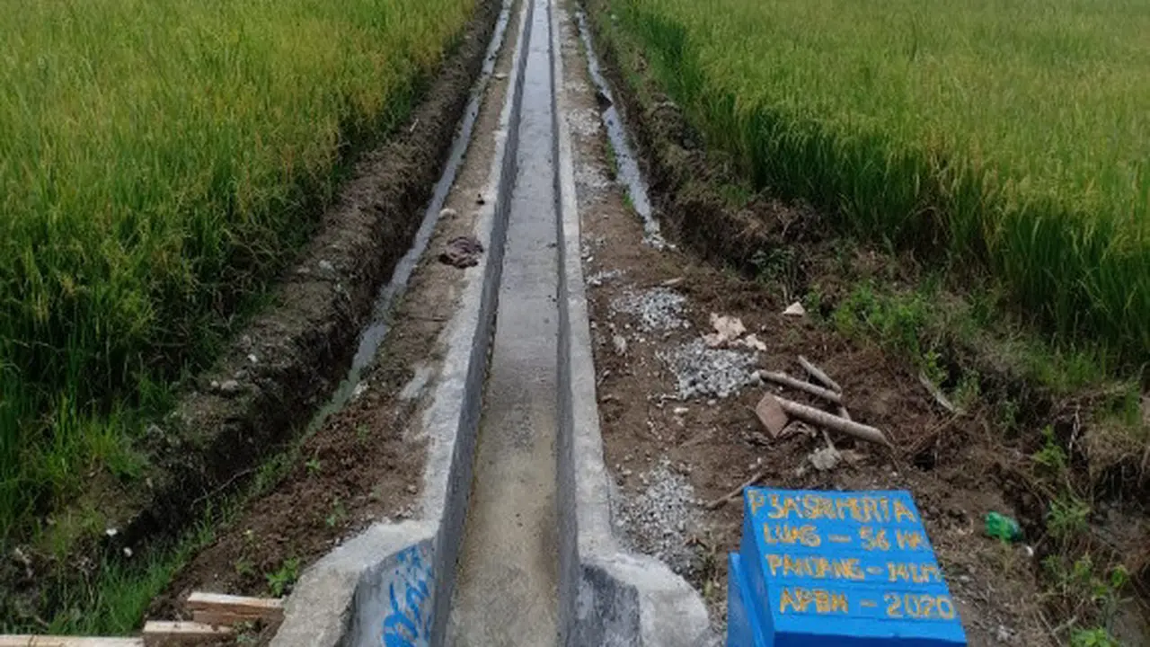 Irigasi di Desa Puntari